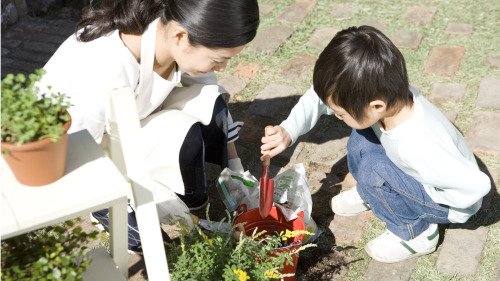 日本教育在培养每一个孩子具备生活、学习、工作的能力。