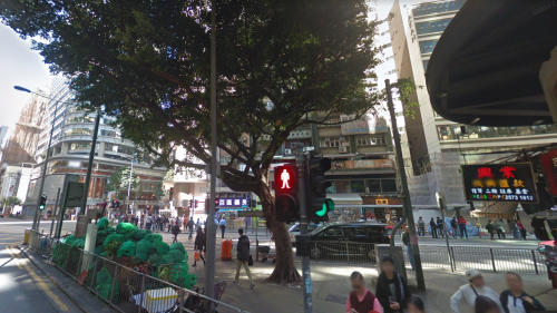 空间挤迫、植物也要“蜗居”的香港市区