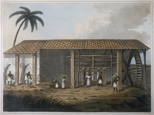糖貿易的意義如此重要是因為它幫助美國從英國獨立出來了。