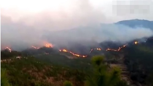 四川3800米高山大火燒4天1580人4架飛機搶救無效