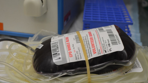 北京市衛計委近日通知，從2月10日起全面停止互助獻血。
