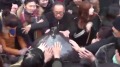 摸摸“药葫芦”可消灾陆民“拜神”闹笑话(图)