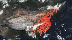 摘取无辜囚犯器官行业在中国发展迅速(图)