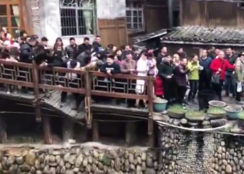 贵州景点木桥被慕名而来的游客踩烂