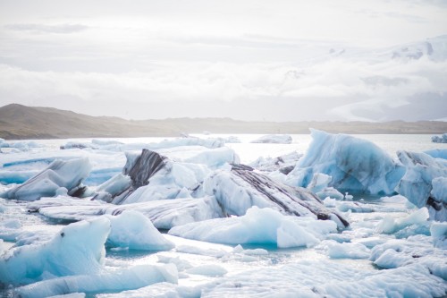 北冰洋历史上竟出现过热带气候