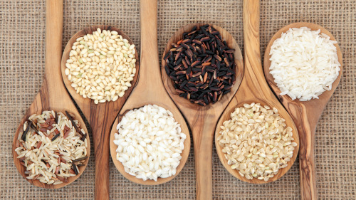 不同的米有不同的营养，长期不吃主食对身体有健康危害。