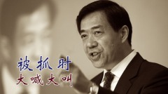 拒絕習宴請放狠話薄熙來一語成讖陷秦城(組圖)