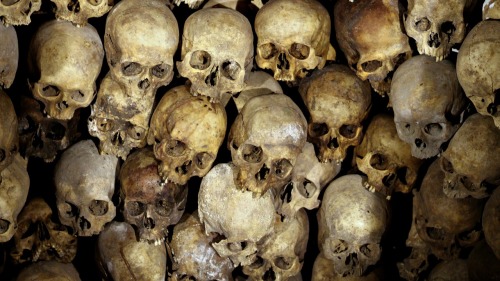 墨西哥警方於蒂華納一處亂葬崗發現多達240具人類骸骨。