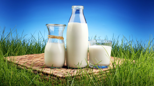 预防骨质疏松，奶和奶制品是补钙最好的食物来源。