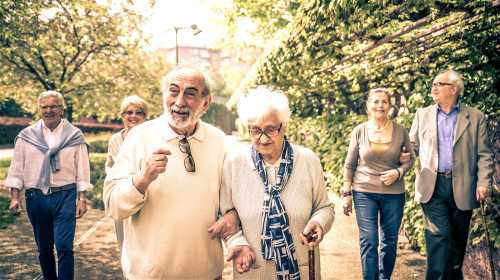 堅持適量運動是長壽關鍵因素之一，散步是頗為適合老人的運動。