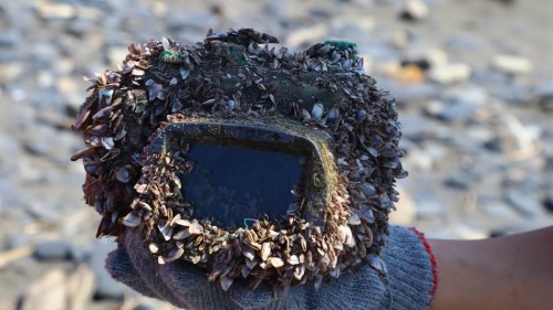 日前宜兰岳明国小学生净滩时在海边发现这部长满珊瑚的相机