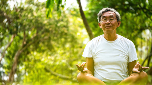 老人每天静坐半小时，能使身体得到充分休息，提升人体活力。