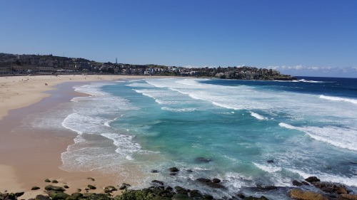 132年前的一封瓶中信在澳大利亚海滩上被发现。