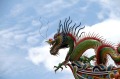 传说中的龙行与龙事近代也有龙现人间(图)