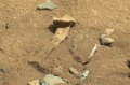 火星奇怪物体疑似生物化石(组图)