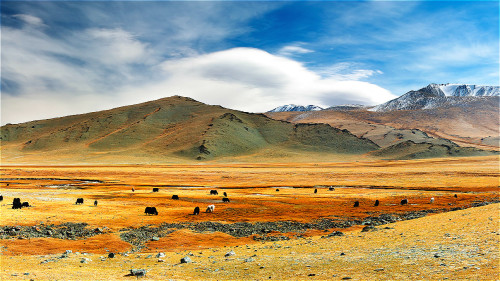 蒙古风光旖丽，成吉思汗曾在此开创霸业，使强大的蒙古一步步走向中原大地。