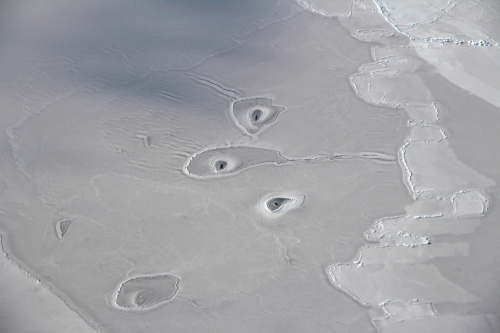 前所未见！NASA科学家在北极发现神秘冰洞
