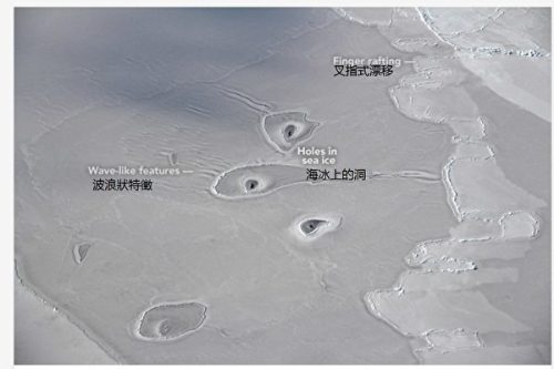 北極海冰上出現神祕的冰圈
