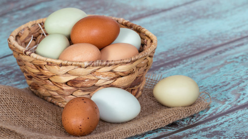 鸡蛋是全营养食品，含蛋白质及多种维生素和丰富的矿物质