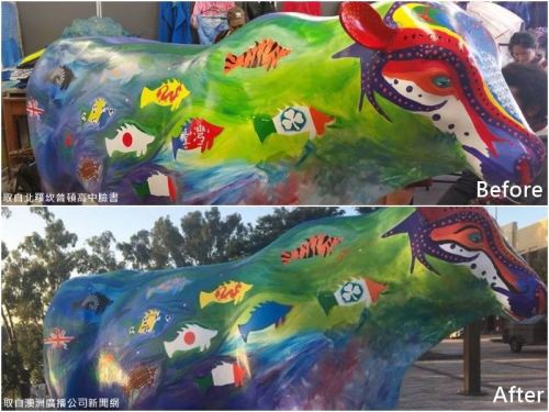 澳洲地方政府抹掉學生彩繪中華民國國旗