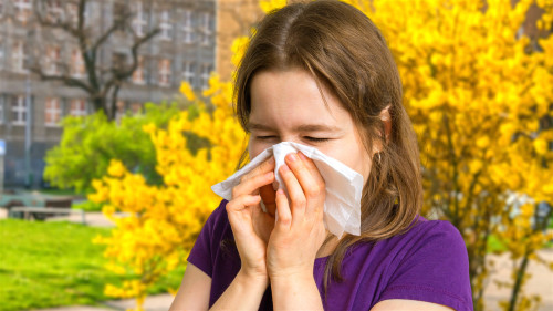 避免接触引起过敏性鼻炎的过敏原，可以有效降低疾病发生的机率。