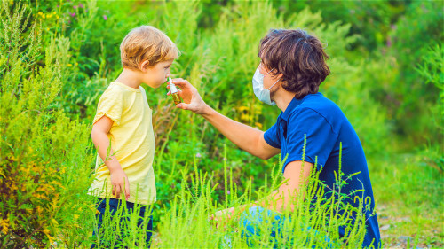 花粉过敏患者非常多，使用激素鼻喷雾剂应注意正确用法。