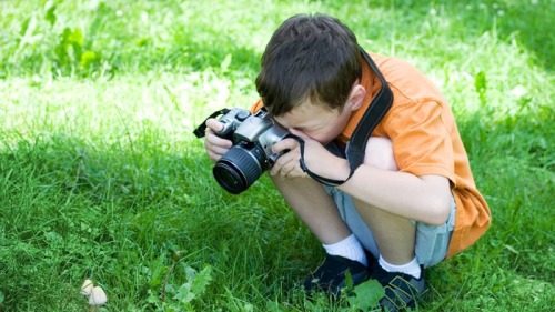 善於觀察的孩子正在給小蘑菇拍照。
