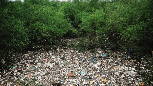 漂浮在廣東省河面上的大量垃圾