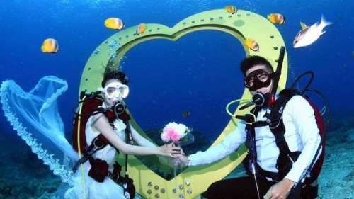 世界最深的海底邮筒、豆丁海马邮筒4日启用，设置在绿岛石朗浮潜区的海马造型邮筒，约在11米深海底，旁边还有海洋之心装置艺术。