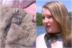 美国女孩捡到宝来自4.75亿年前(图)