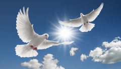 於公於私北京先欠他們一個「統一」(圖)