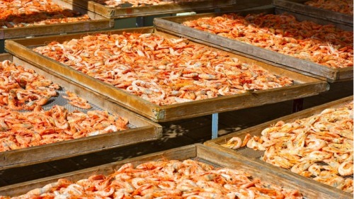 蝦皮是補鈣食品的冠軍，能很好地保護心血管系統