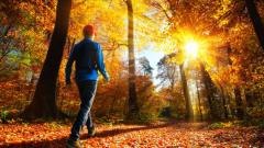 带着记忆转生以色列男童天生会说英语(组图)