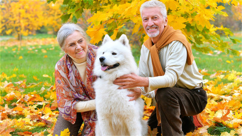 寵物提供給老年人友誼和溫暖，讓老人擁有傾訴的對象，從而釋放壓力。
