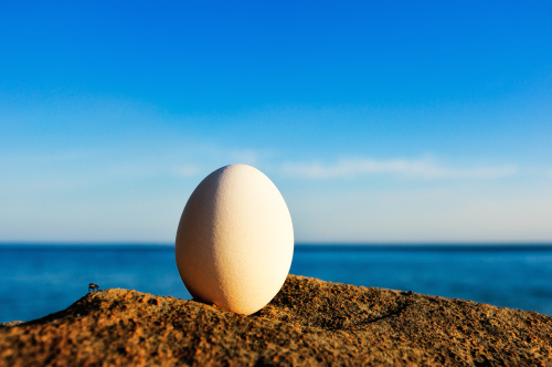 尽量选择在室内，因为户外风大，对蛋的平衡有所影响，立蛋比较不容易成功。