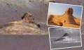 火星发现酷似“人面狮身像”这是外星文明证据吗(视频)