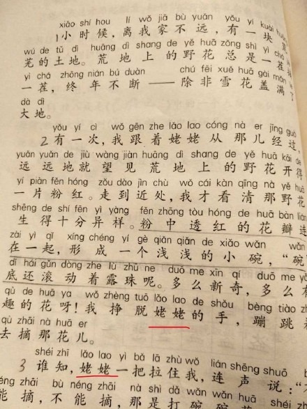 “外婆是方言改成姥姥”上海小学语文教材引争议