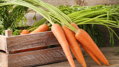 胡蘿蔔所含的胡蘿蔔素能轉變成大量的維生素A，可以有效預防肺癌的發生。