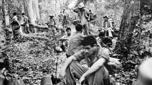 由于越南有足够的森林覆盖，使得美军的机械化装备施展不开，后来他们实施了“除草作战计划”。