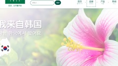 全球性扩展中国商品大肆仿冒韩流企业(图)