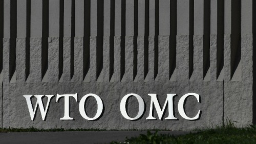 世贸 WTO 电子商务 中国 谈判