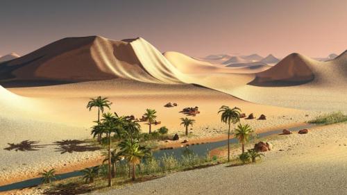 大漠中的黃沙。