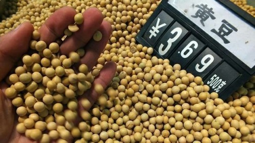 中国政府控制豆价赢“面子”输“里子”
