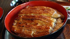日本人喜歡吃的鰻魚竟然已經成為奢侈品(圖)