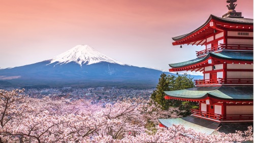 富士山的海拔3360公尺以上都属于“私有地”，而所有者则是市宫町的总本宫－－浅间神社。