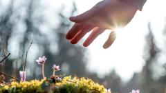 史威登堡著作令人震惊人的去向自己决定(图)