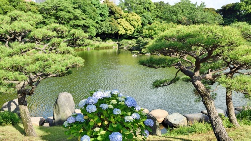 寧靜古樸的日本東京都清澄庭園