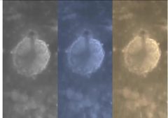 月球发现神秘尖塔“外星物体”何人建造(组图)