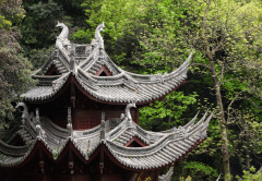 冥冥之中有定数奇遇转生男孩(图)