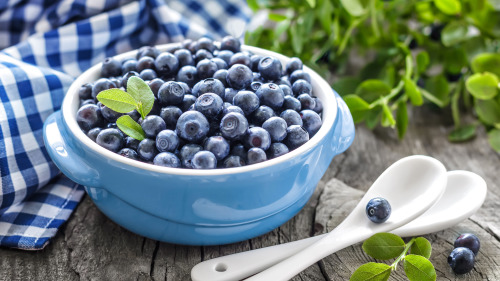 蓝莓含有的花青素是对眼睛非常有好处的一种物质。